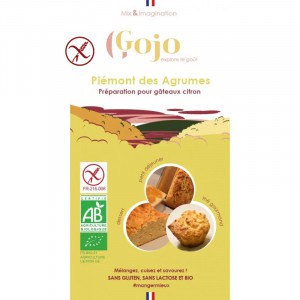 Préparation gâteau bio et sans gluten Gojo recto