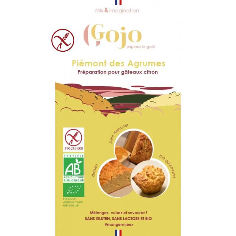 Préparation gâteau bio et sans gluten, simplet et rapide de chez Gojo