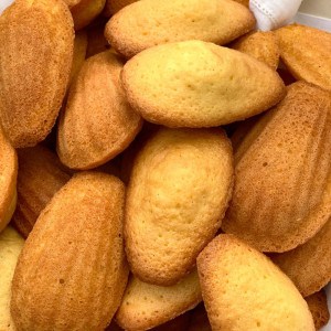 Lot de 15 madeleines nature sans gluten Céliane