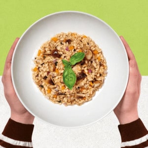 Risotto déshydraté aux shiitakes et cèpes sans gluten - Trevijano