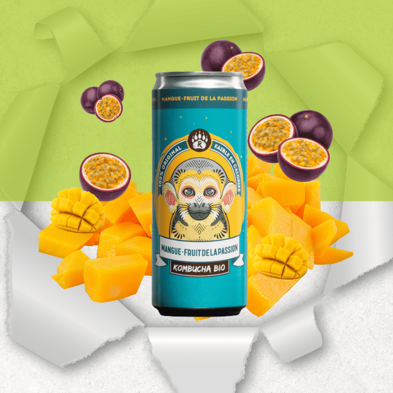 Canette de Kombucha bio mangue passion 33cl - Bio Brasseurs