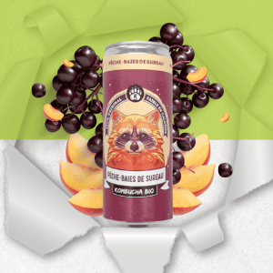 Canette de Kombucha pêche-baies de sureau - Bio Brasseurs