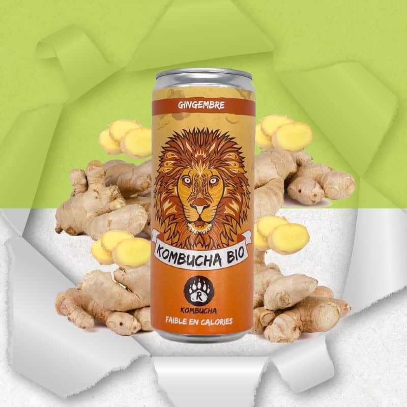 Canette de Kombucha au gingembre bio naturellement sans gluten - Bio Brasseurs