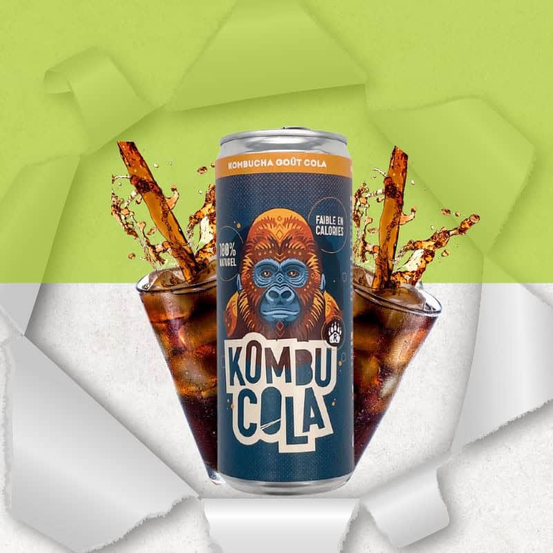 Canette 33cl de Kombucha bio COLA sans gluten - Bio Brasseurs