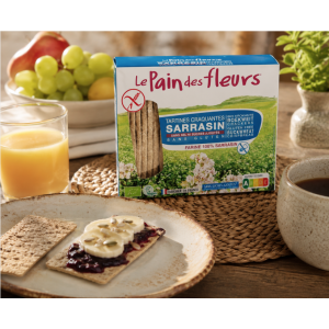 Présentation des Tartines craquantes au sarrasin sans gluten, vegan et bio - Le Pain des fleurs