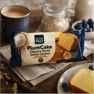 Présentation du Cake moelleux sans gluten et sans lactose - Nutri Free
