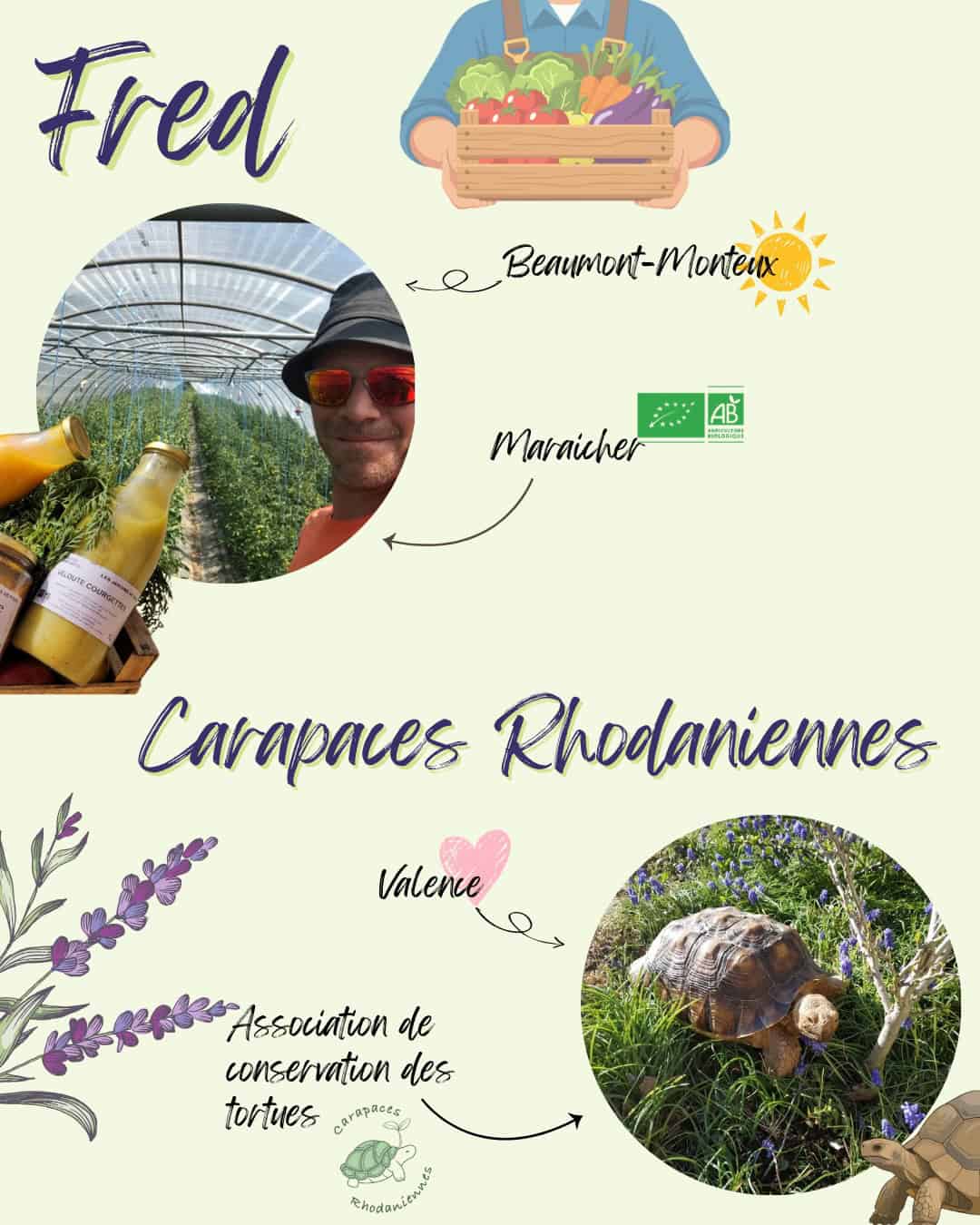 Carapaces rhodaniennes et fred 