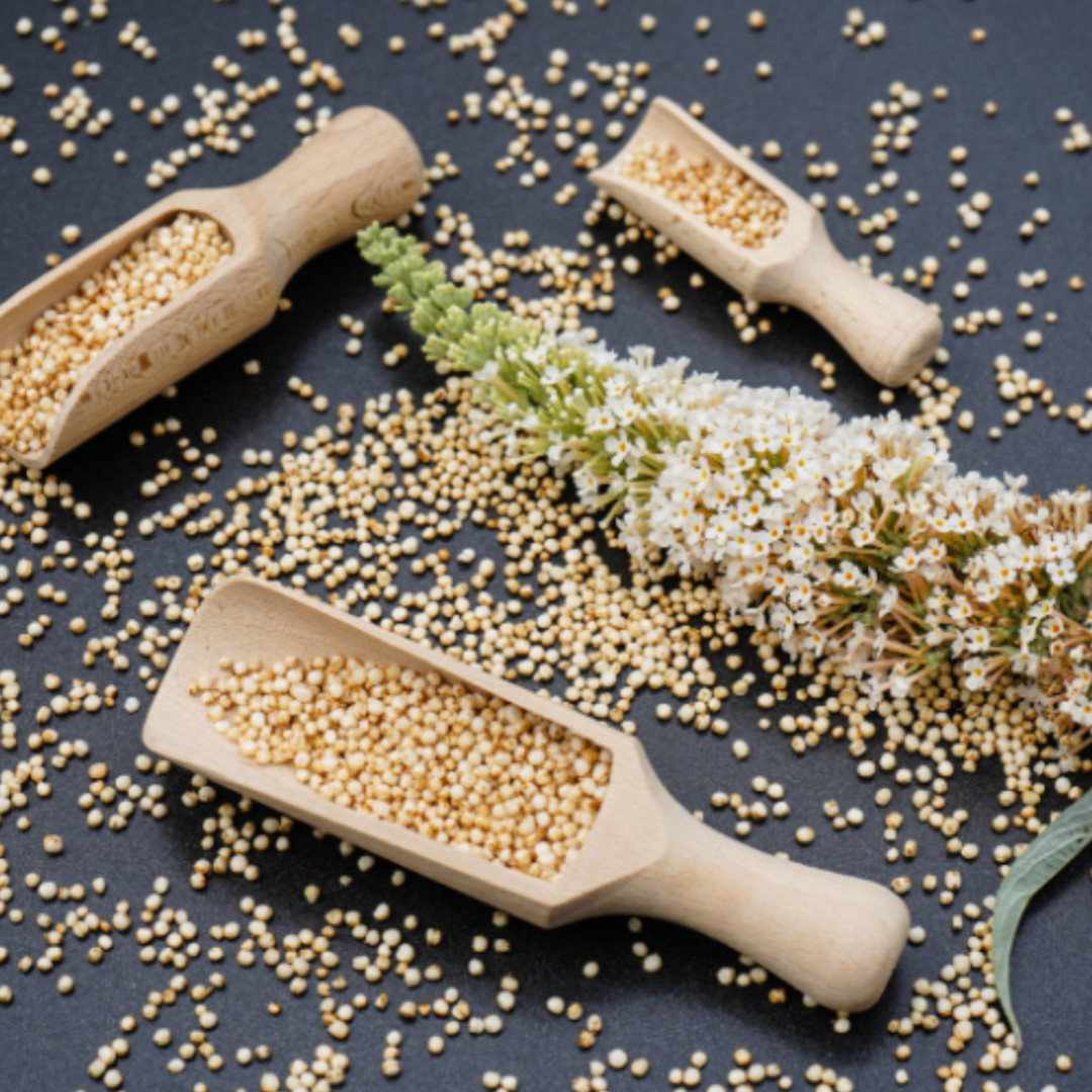 Le quinoa, l’allié santé et plaisir dans la cuisine sans gluten !