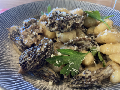 Gnocchis sans gluten aux morilles