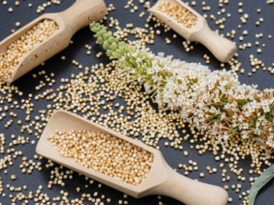 Le quinoa, l’allié santé et plaisir dans la cuisine sans gluten !